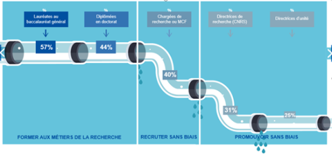 Figure 1 : Le phénomène de tuyau percé au CNRS (Mission pour la Place Des Femmes au CNRS)